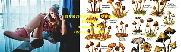 гидра Зерноград
