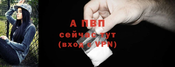 ПСИЛОЦИБИНОВЫЕ ГРИБЫ Зеленокумск