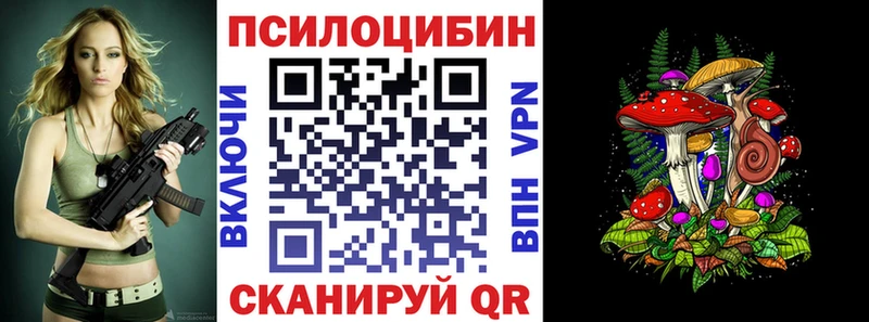 Купить закладки  Краснозаводск  Псилоцибиновые грибы мухоморы 
